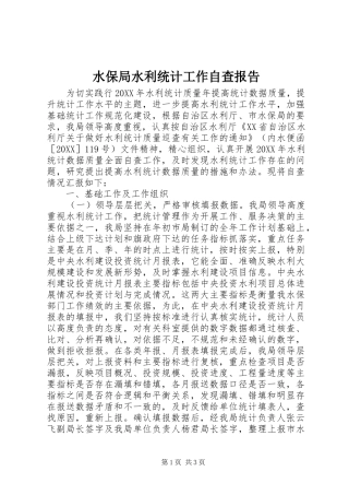 水保局水利统计工作自查报告