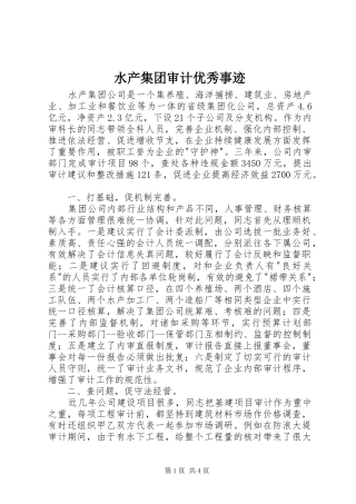 水产集团审计优秀事迹