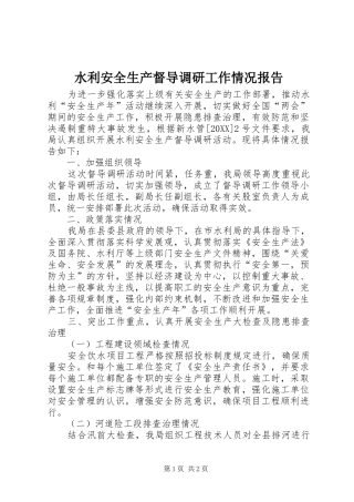 水利安全生产督导调研工作情况报告