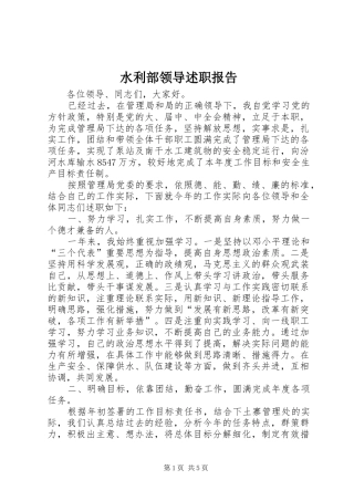 水利部领导述职报告