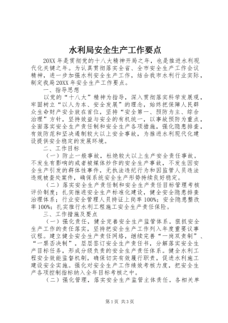水利局安全生产工作要点