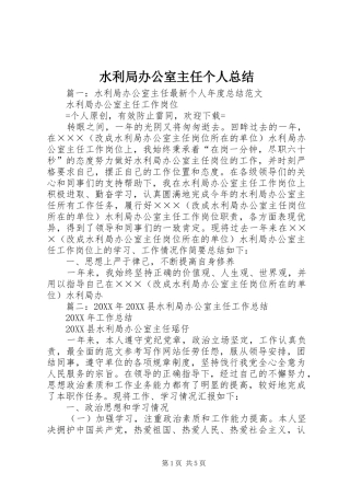 水利局办公室主任个人总结