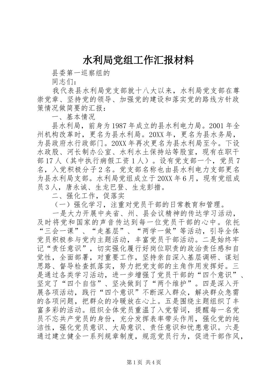 水利局党组工作汇报材料_第1页