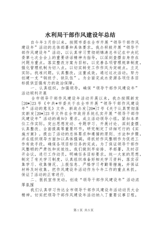 水利局干部作风建设年总结