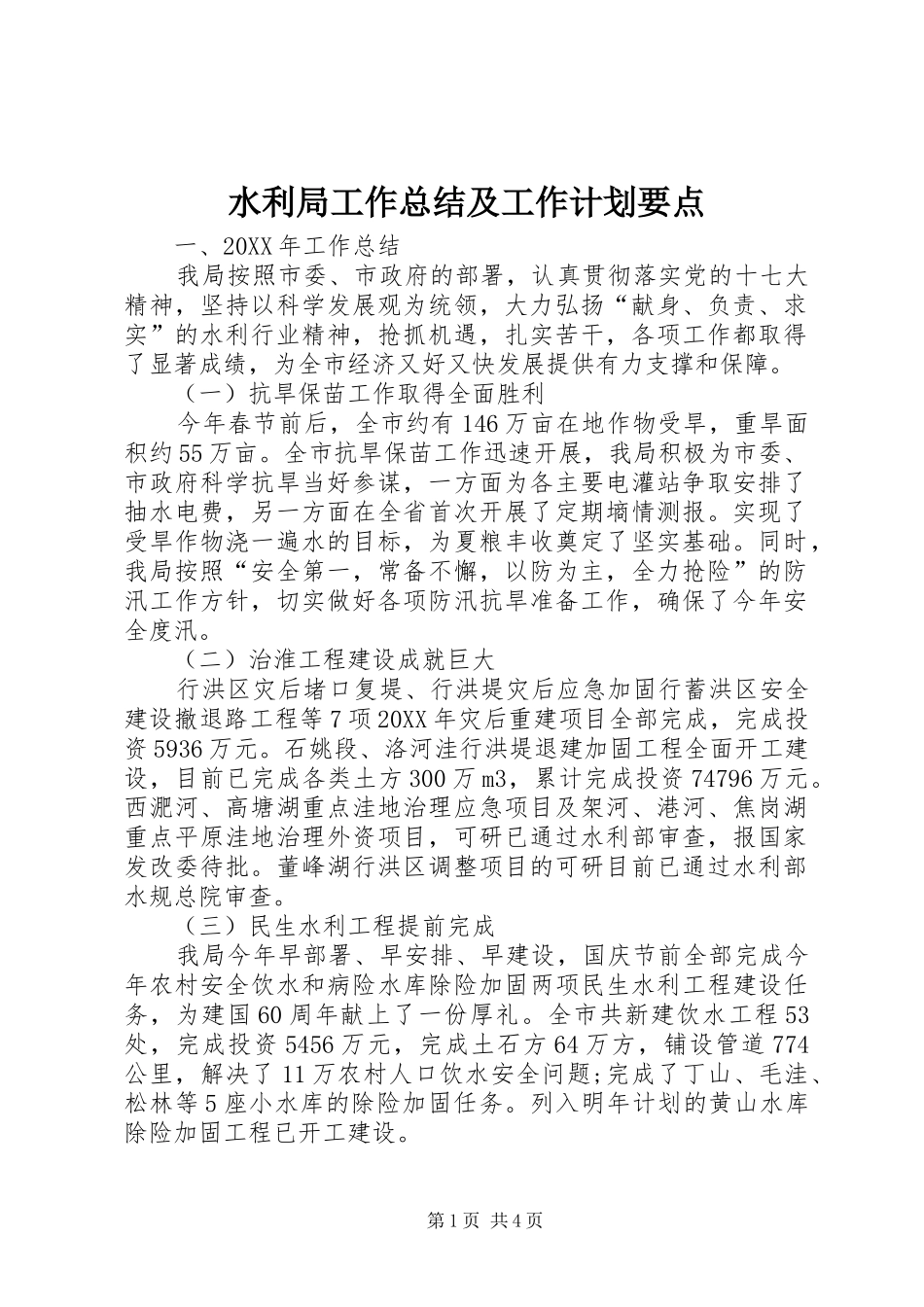水利局工作总结及工作计划要点_第1页