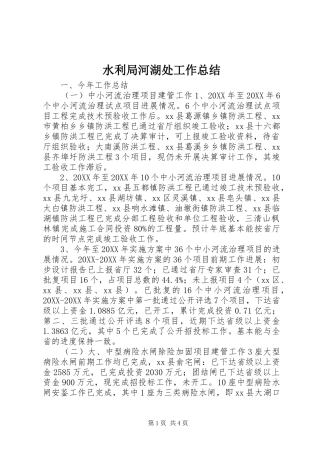 水利局河湖处工作总结