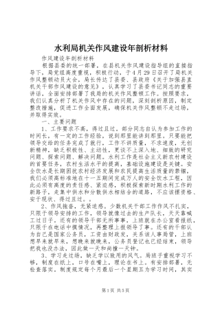 水利局机关作风建设年剖析材料