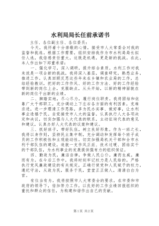 水利局局长任前承诺书