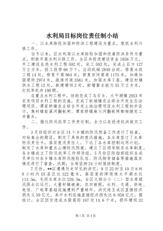 水利局目标岗位责任制小结