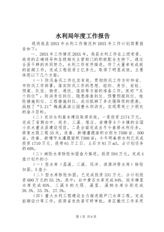 水利局年度工作报告