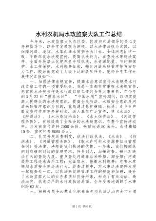 水利农机局水政监察大队工作总结