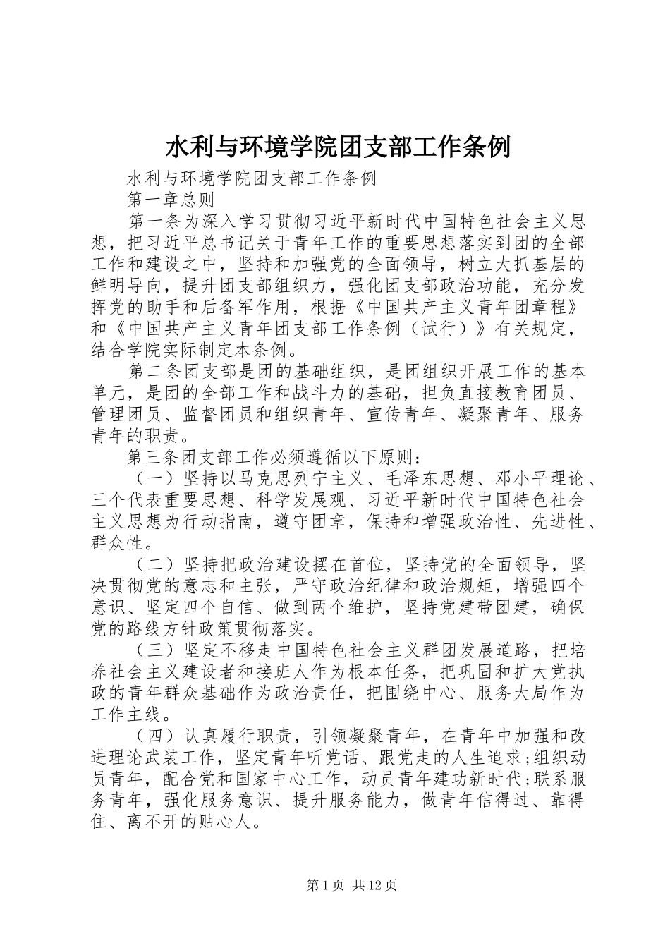 水利与环境学院团支部工作条例_第1页