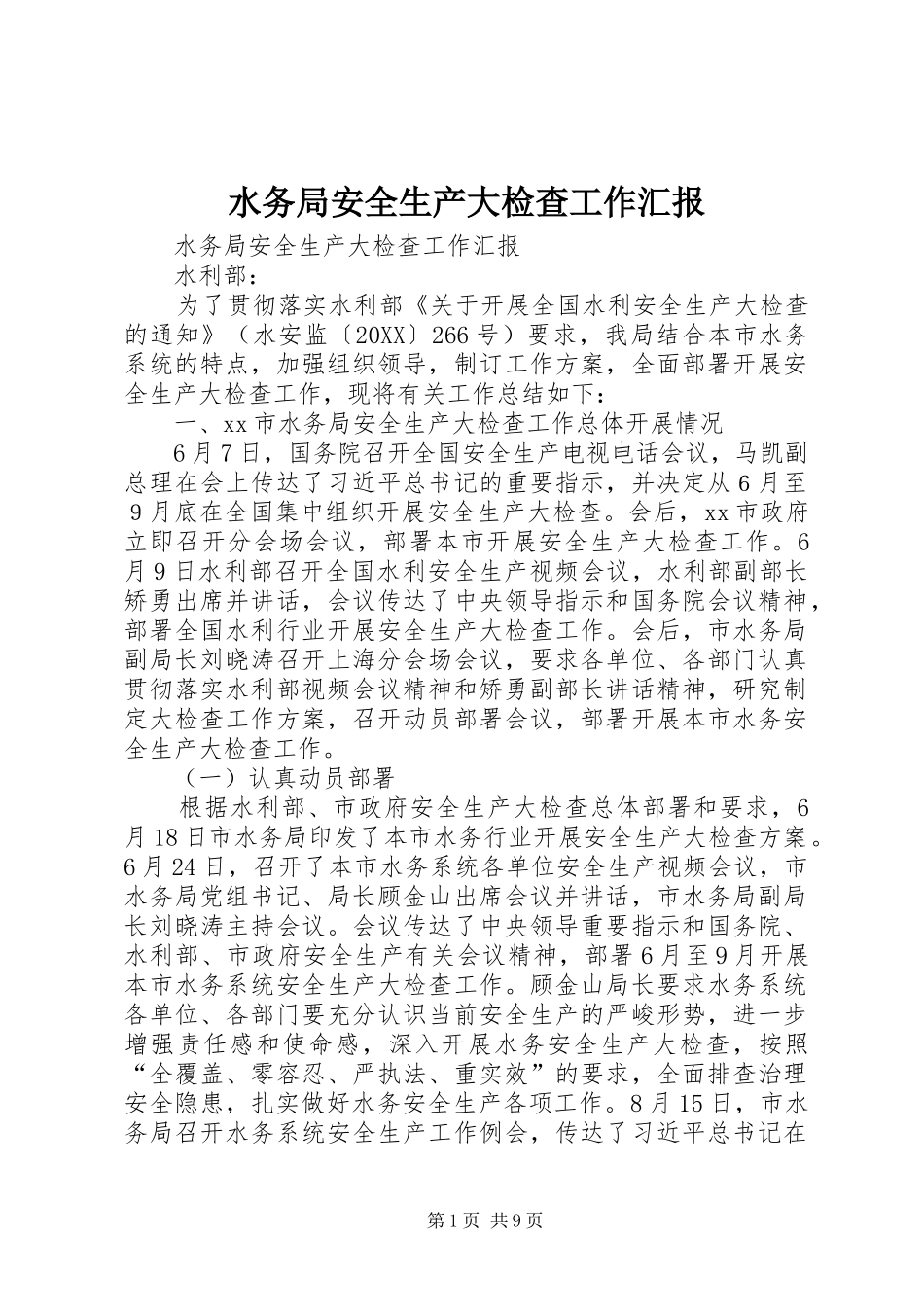 水务局安全生产大检查工作汇报_第1页