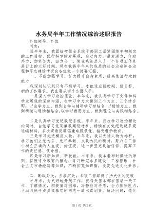 水务局半年工作情况综治述职报告