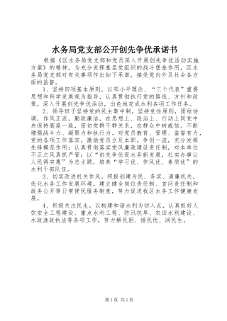 水务局党支部公开创先争优承诺书