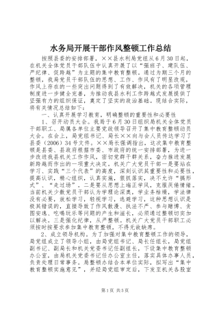 水务局开展干部作风整顿工作总结