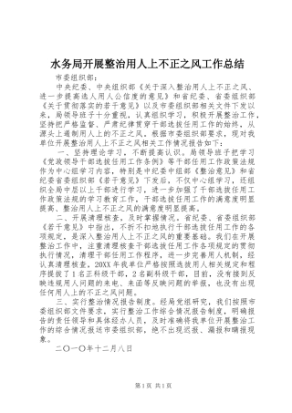 水务局开展整治用人上不正之风工作总结