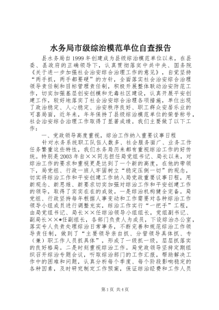 水务局市级综治模范单位自查报告