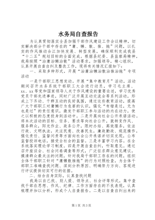 水务局自查报告