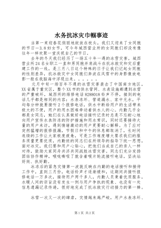 水务抗冰灾巾帼事迹