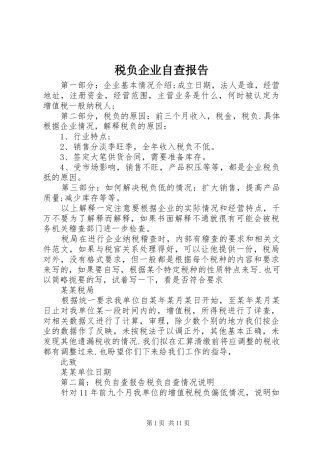 税负企业自查报告