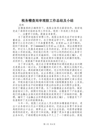 税务稽查局审理股工作总结及小结