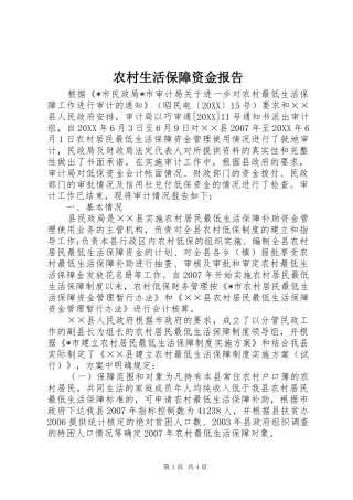 农村生活保障资金报告