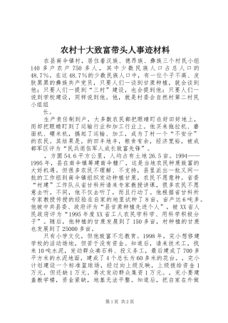 农村十大致富带头人事迹材料