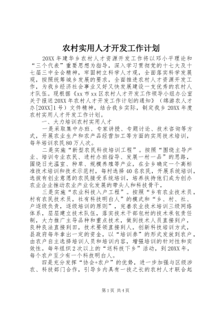 农村实用人才开发工作计划