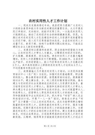 农村实用性人才工作计划