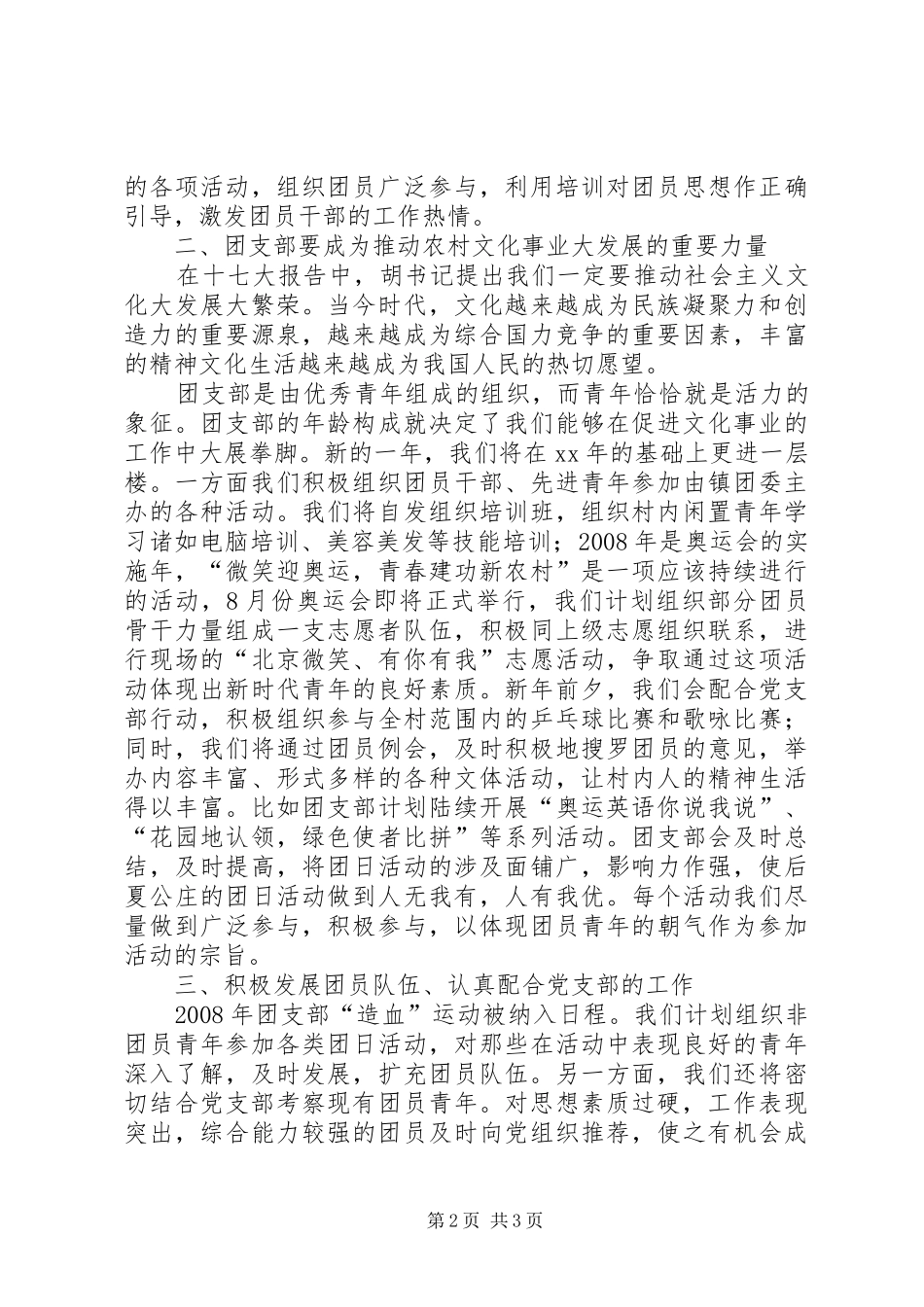 农村团支部工作计划_第2页