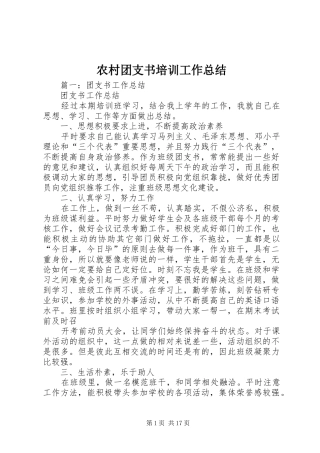 农村团支书培训工作总结