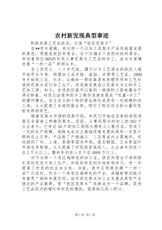 农村新发现典型事迹