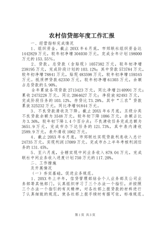 农村信贷部年度工作汇报