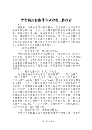 农村信用社案件专项治理工作报告