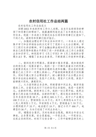 农村信用社工作总结两篇