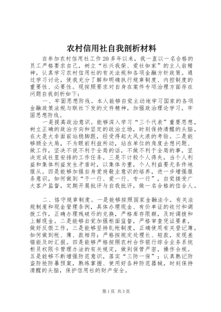 农村信用社自我剖析材料