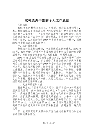 农村选派干部的个人工作总结