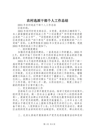 农村选派干部个人工作总结