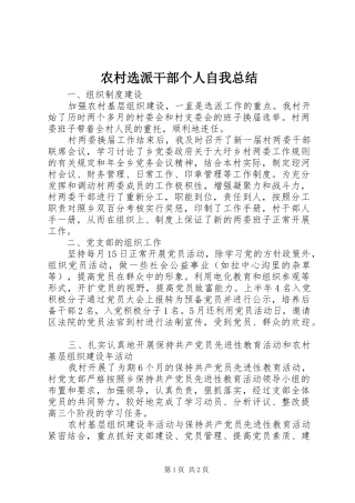 农村选派干部个人自我总结