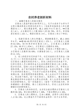 农村养老剖析材料