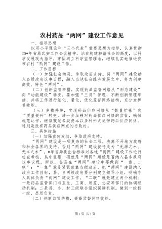 农村药品两网建设工作意见