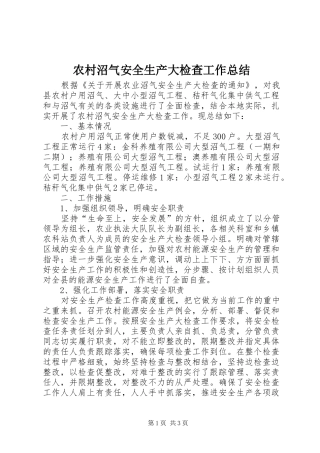 农村沼气安全生产大检查工作总结