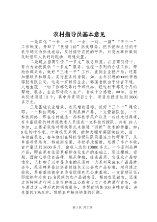 农村指导员基本意见