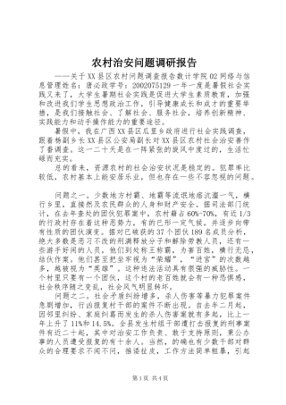 农村治安问题调研报告