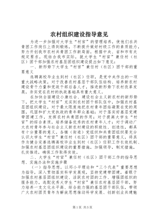 农村组织建设指导意见