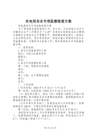 农电局安全专项监督检查方案