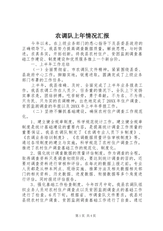 农调队上年情况汇报
