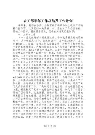 农工部半年工作总结及工作计划