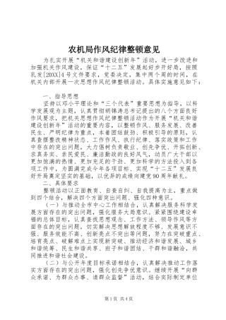 农机局作风纪律整顿意见